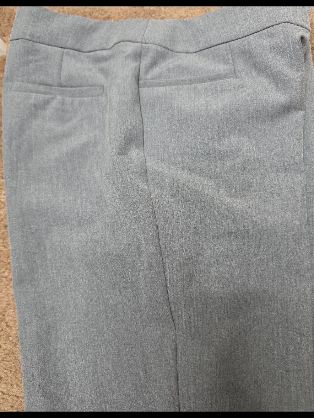 NWOT INC International Concepts Women's Light Gray Dress Pants